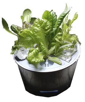 AeroGarden